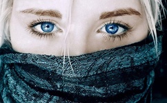 白马啸西风下载